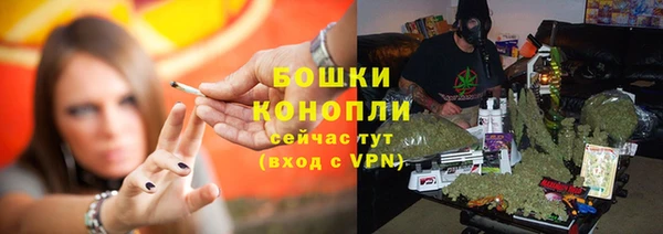 крисы Ладушкин