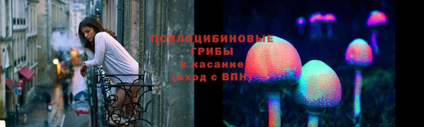 крисы Ладушкин