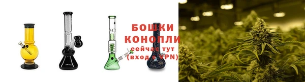 крисы Ладушкин