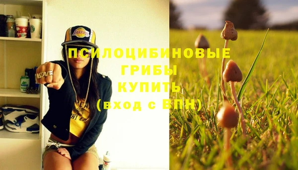 крисы Ладушкин