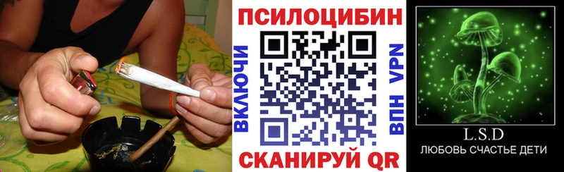 Купить где  Харовск  Галлюциногенные грибы Magic Shrooms 